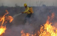 Fogo destruiu 4.300 hectares de áreas preservadas em MG no mês de setembro