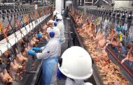 OPORTUNIDADE: Atalaia Alimentos tem vagas em aberto para produção e administrativo