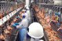 OPORTUNIDADE: Atalaia Alimentos tem vagas em aberto para produção e administrativo