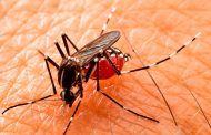 Casos de dengue aumentam 113,7% entre janeiro e abril deste ano
