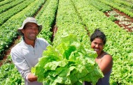 Ação do Governo de Minas beneficiará 180 famílias de agricultores na região