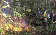 Bombeiros e IEF combateram incêndio aos pés da Serra São José