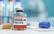 140 MILHÕES DE DOSES: Brasil negocia possíveis vacinas de COVID 19 com 9 laboratórios