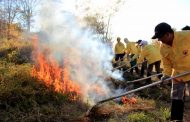 Em Minas, parceria vai reforçar o combate à incêndios florestais com ajuda de detentos