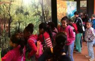 IEF promove colônia de férias para crianças em Prados