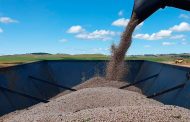 Minas deve produzir mais de 15 milhões de toneladas de grãos na safra 2020/2021