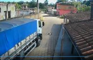 VIDEO: Motorista não desvia e caminhão atropela animal em Prados