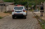 ABSURDO: Três cães são encontrados mortos após possível envenenamento em Prados