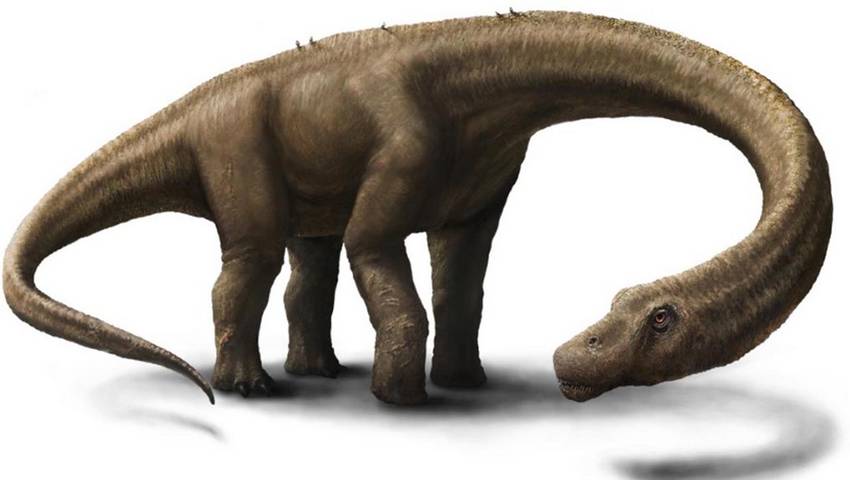 Reconstruccion-artistica-Dreadnoughtus-schrani-teme_CLAIMA20140904_0238_28