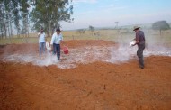 Programa Terra Fértil beneficia agricultores na aquisição de calcário em Prados