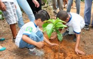 Dia Mundial do Meio Ambiente terá ação social em Prados