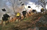 Previncêndio aponta diminuição de até 65% nas queimadas em Minas