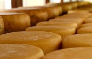 Minas será sede de concurso internacional de queijos