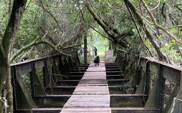 EXCLUSIVO: Ponte de ferro de 20 metros é furtada em Prados