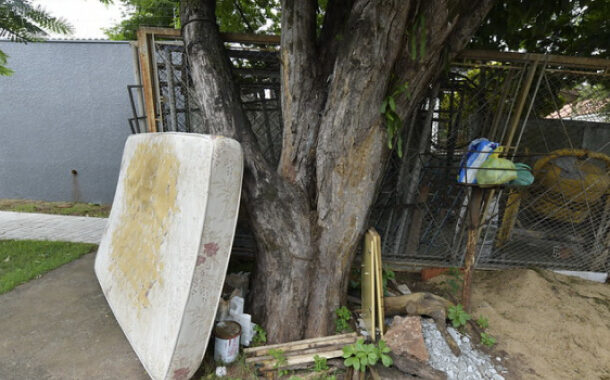 Mutirão Bota Fora acontece nos bairros Pitangueiras e Estação nesta semana