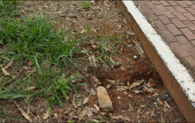 Lixeira é furtada na passarela de caminhada do bairro Boa Vista, em Prados