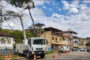 Corte chama atenção no Centro de Prados: entenda por que árvore precisou ser retirada