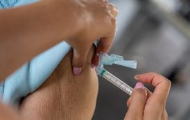 Vacina contra chikungunya começa a ser aplicada em MG. Veja quem pode tomar