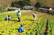 Prazo para atualização cadastral de produtores rurais em Prados foi encerrado; saiba onde realizar a partir de 1º de julho