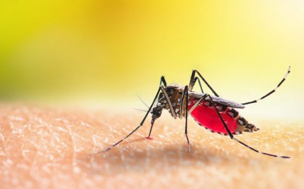 DENGUE: Prados terá Dia D com vacina e orientações