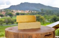 Emater lança livro com histórias por trás da produção dos queijos artesanais de Minas