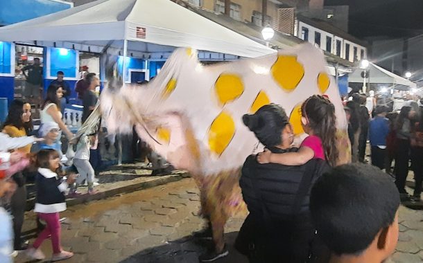 BOI TOPA TUDO LEVA TRADIÇÃO E IRREVERÊNCIA ÀS RUAS DE PRADOS