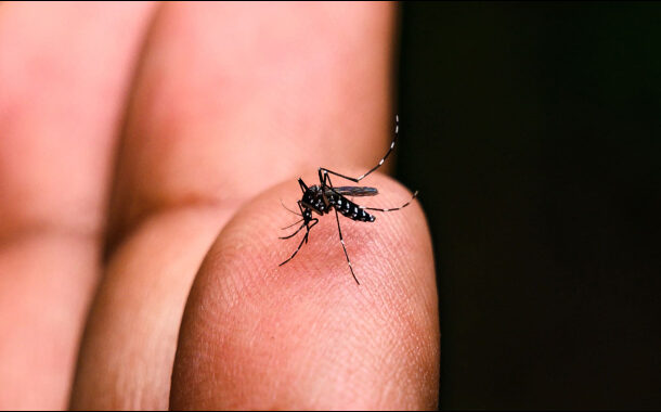 Prados terá caminhada de conscientização e prevenção à dengue nesta sexta-feira