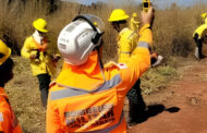CORPO DE BOMBEIROS ABRE 280 VAGAS PARA BRIGADISTAS FLORESTAIS EM MINAS GERAIS