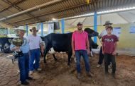 Eli Moreira e Marmitão são os proprietários dos animais campeões da ExpoPrados 2025