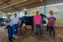 Eli Moreira e Marmitão são os proprietários dos animais campeões da ExpoPrados 2025