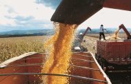 Com aumento de 21%, Valor Bruto do Agro Mineiro deve alcançar R$ 87 bilhões neste ano