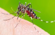 Região registra casos suspeitos de dengue