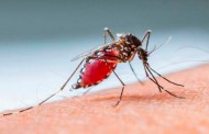 Governo de Minas lança campanha de combate ao mosquito da dengue