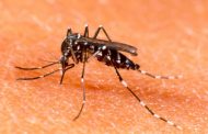 ALERTA: Cidade da região confirma um caso de dengue e tem outros suspeitos