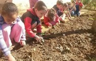Crianças plantam hortaliças em escola municipal de Prados