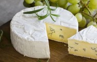 Minas investe na qualificação para produção de queijos finos no estado