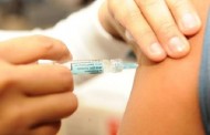 Minas não registra novos casos de febre amarela desde 14 de março
